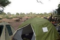 Liya Lodge And Campsite Kasane Exterior photo